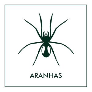Repelentes de aranhas