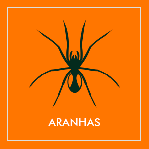 Repelentes de aranhas