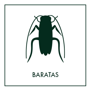 Repelentes de baratas