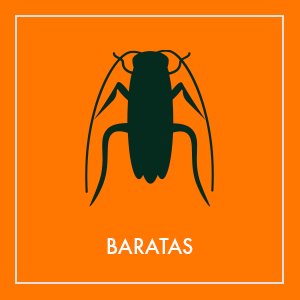Repelentes de baratas