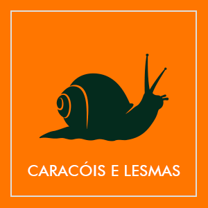 Repelentes de caracóis e lemas