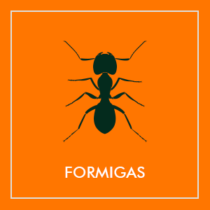 Repelentes de formigas