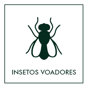 Repelentes de insetos voadores