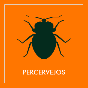 Repelentes de percevejos