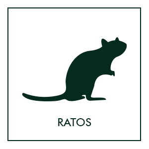 Repelentes de ratos e ratazanas