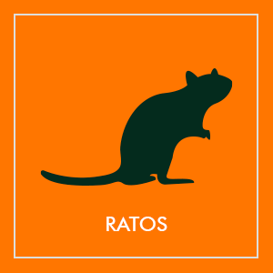 Repelentes de ratos e ratazanas