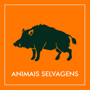 Repelentes de animais selvagens