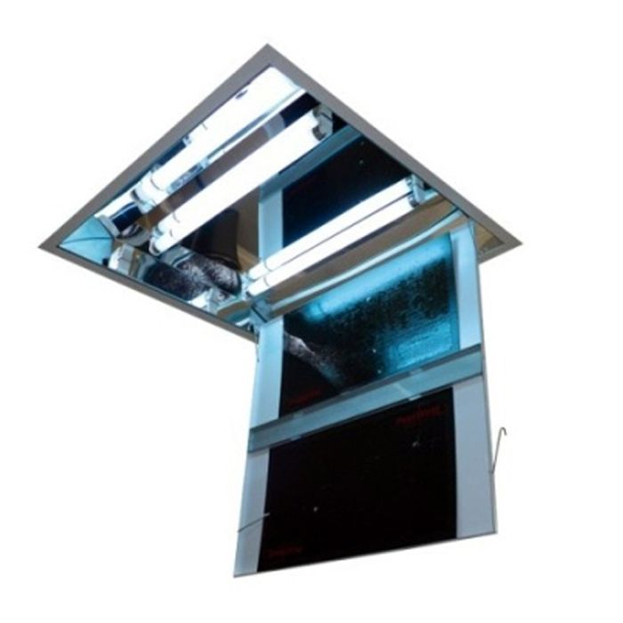 Armadilha de telhado