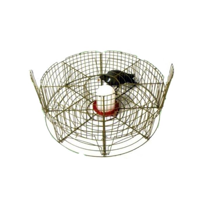 Gaiola para captura de pombos e ou...