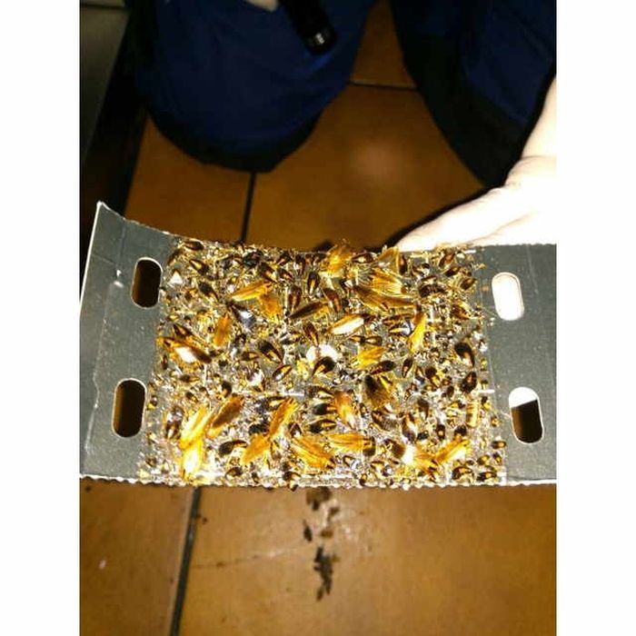 Pack de armadilha para baratas - ECO 3 unidades