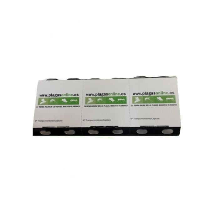 Armadilha para baratas eco pack