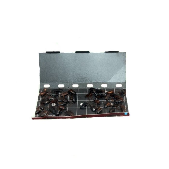 Armadilha para baratas eco pack
