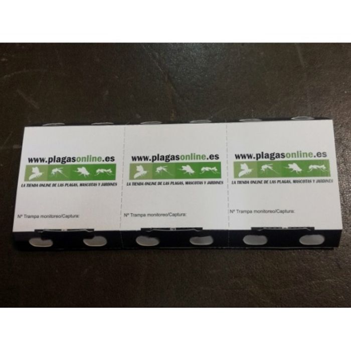 Armadilha para baratas eco pack