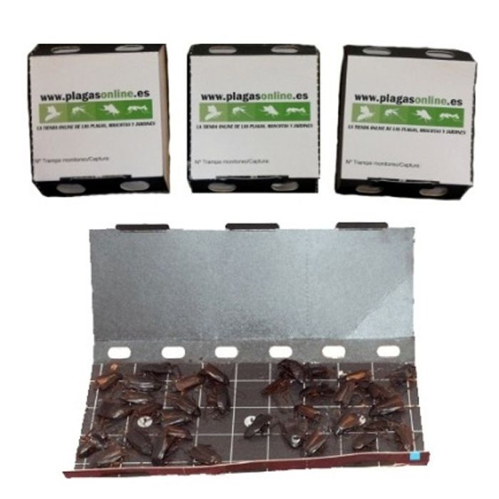 Armadilha para baratas eco pack