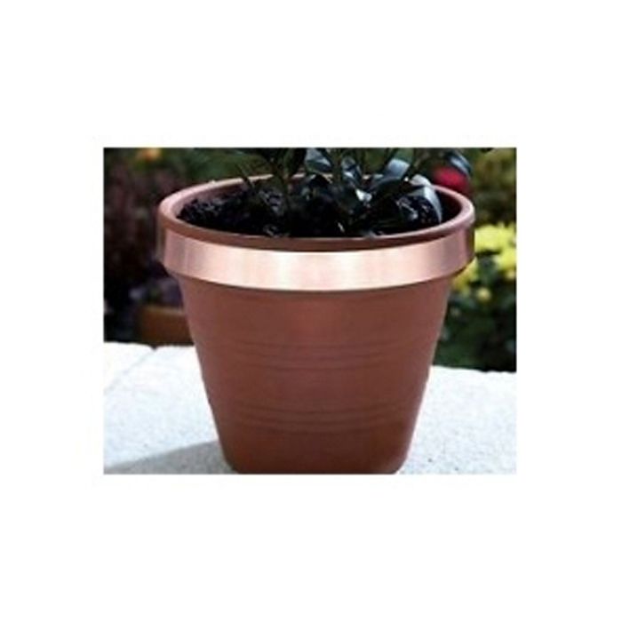 Barreira contra caracóis