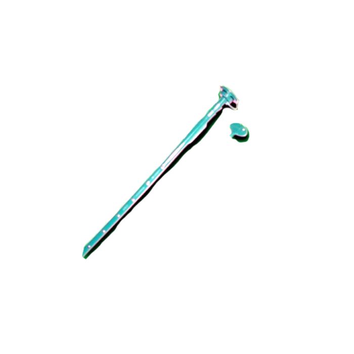 Espigão de injecção de Palmeiras