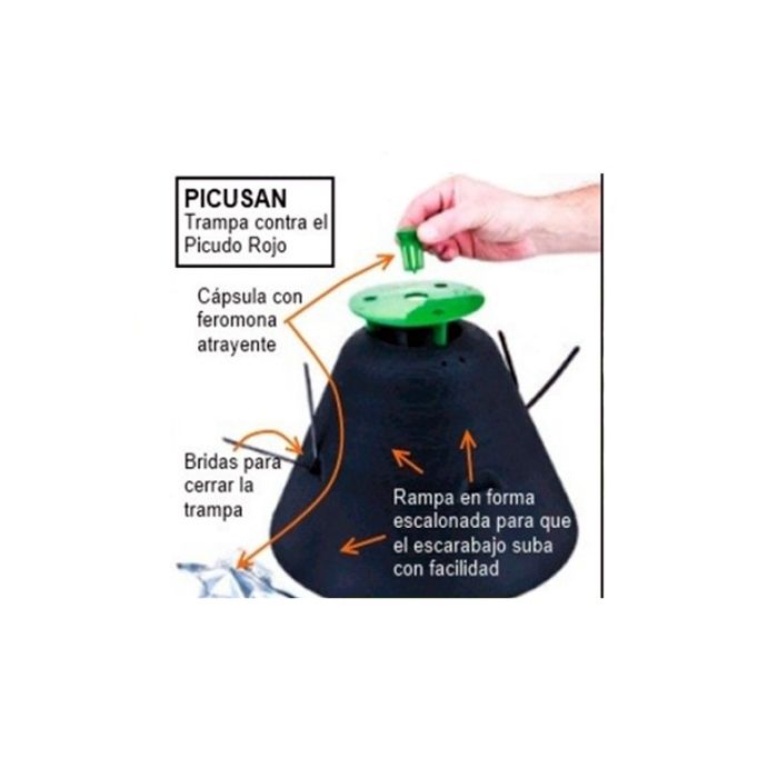 Armadilha caruncho vermelho