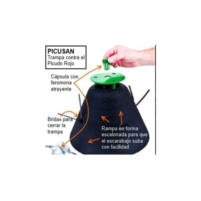 Armadilha caruncho vermelho