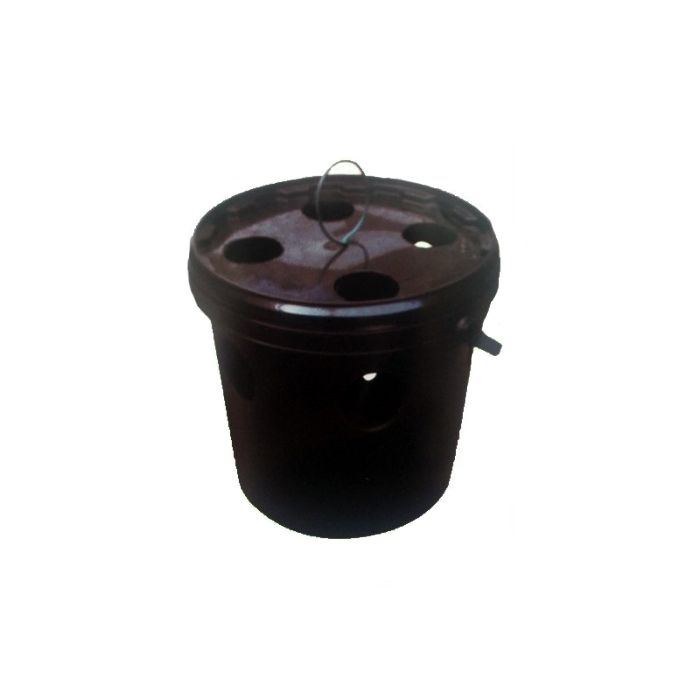 Armadilha de escaravelho vermelho MV