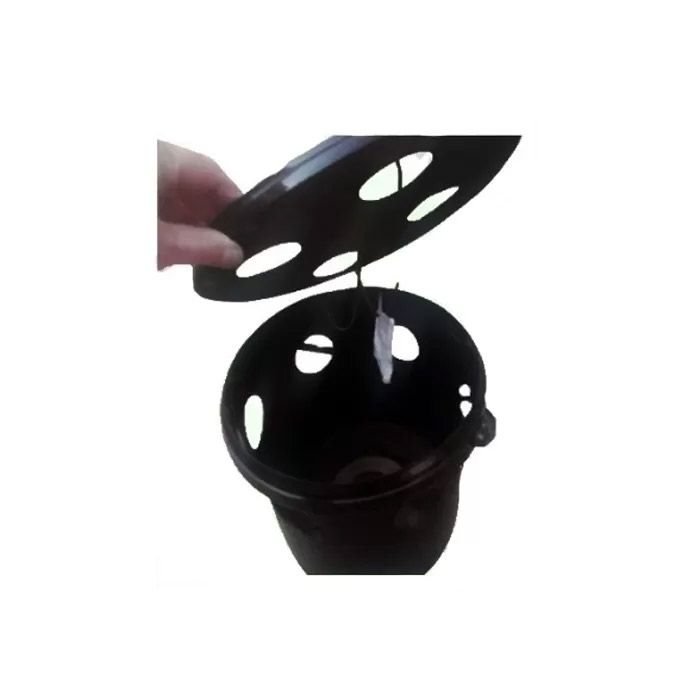 Armadilha escaravelho