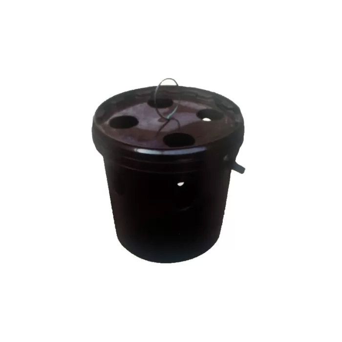 Feromônios para Armadilha de escaravelho vermelho MV