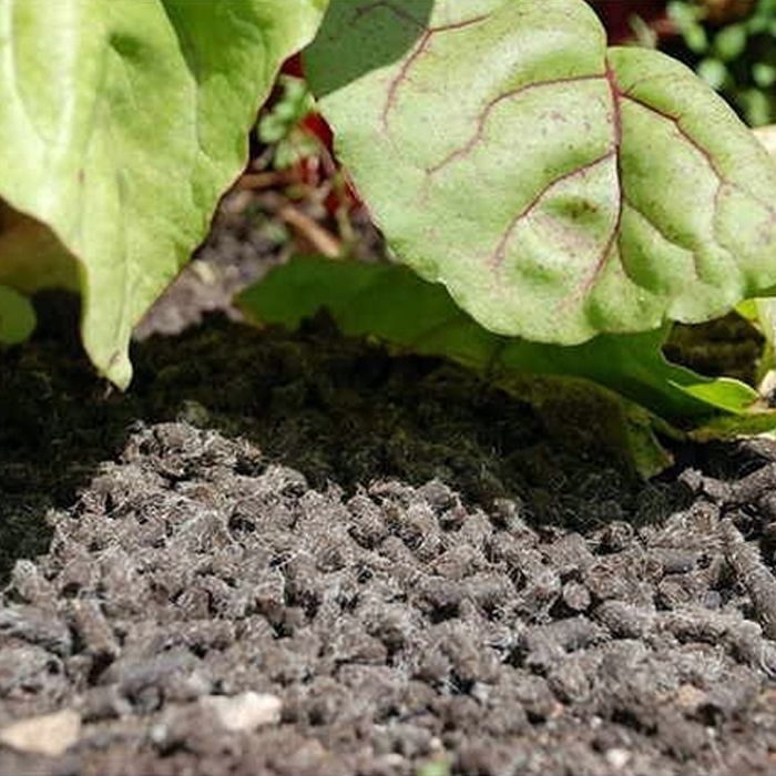 Repelente caracóis biodegradável 5L STV