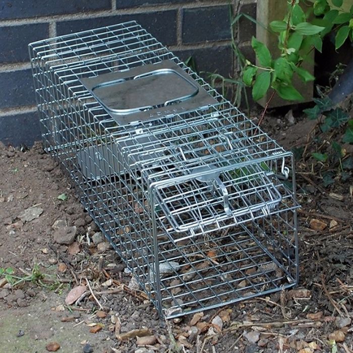 Armadilhas para animais pequenos STV