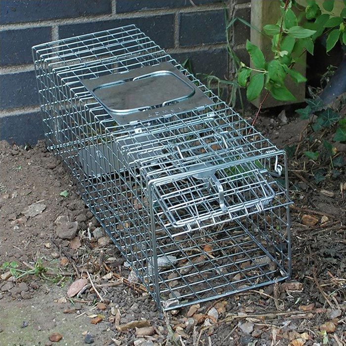 Armadilhas para animais pequenos STV