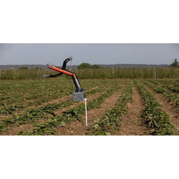 Espanta pássaros insuflável