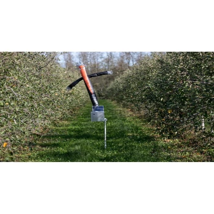 Espanta pássaros insuflável